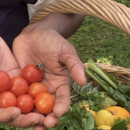 Postpartum Meal Service - Pumpkin Carrot Ginger Soup